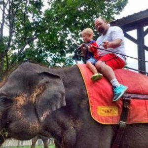 Meet your Posher, Joe